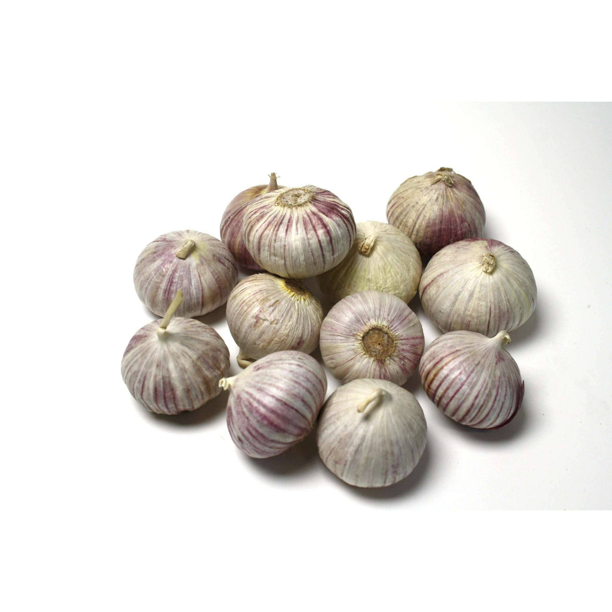 Knoblauch SOLO – Aromatische Einzelknolle für feine Gerichte Gemüse Obstwelt