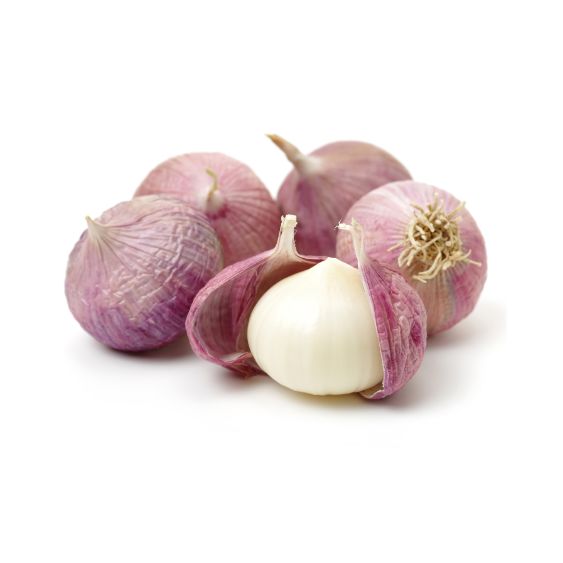 Knoblauch SOLO – Milder Einzehen-Knoblauch für feine Küche Gemüse Obstwelt