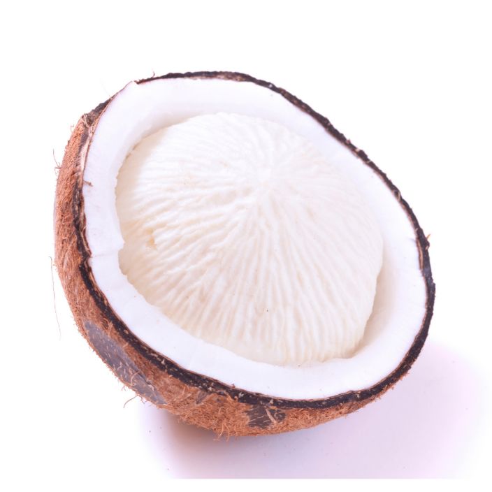 Kokosnuss Tombong – Gekeimte Kokosnuss mit süß-schaumigem Kern Exoten Obstwelt