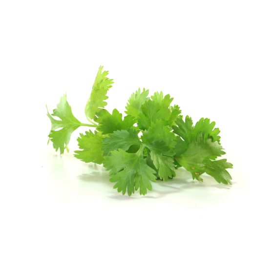 Koriander – Intensives Aroma für exotische Gerichte Gewürz Obstwelt