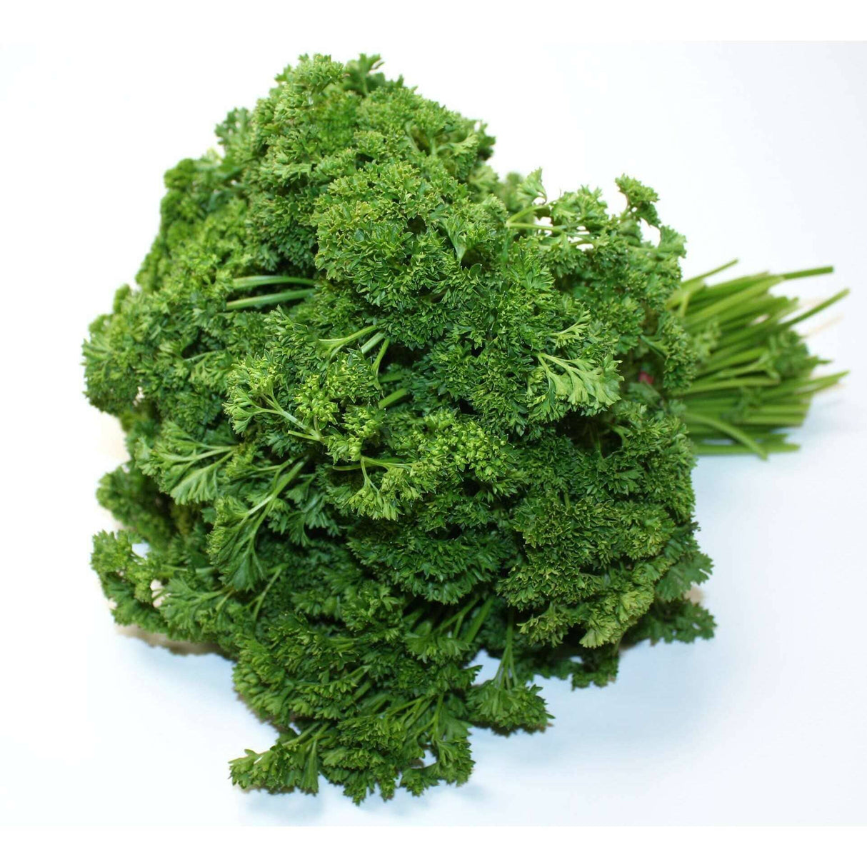 Krause Petersilie – Würziges Kraut für dekorative Gerichte Gewürz Obstwelt