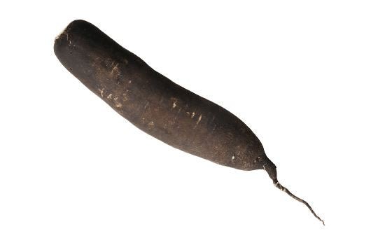 Black Spanish Long Radish als kräftiger Winterrettich online bestellen