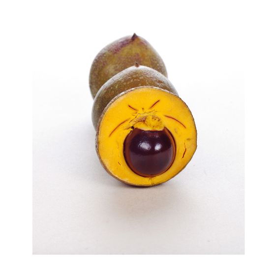 Lucuma – Exotische Superfrucht mit natürlicher Süße & Power Exoten Obstwelt