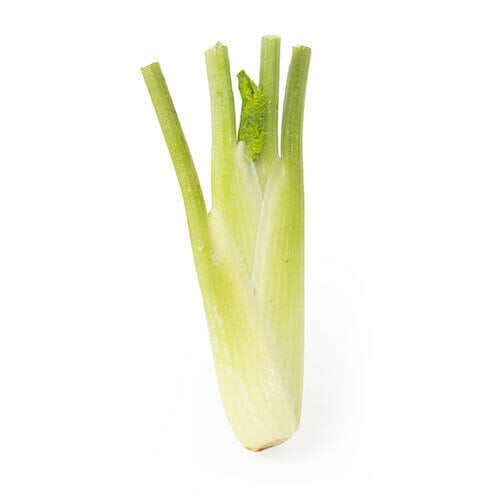 Mini Fenchel – Aromatische Ergänzung für feine Gerichte Gemüse Obstwelt