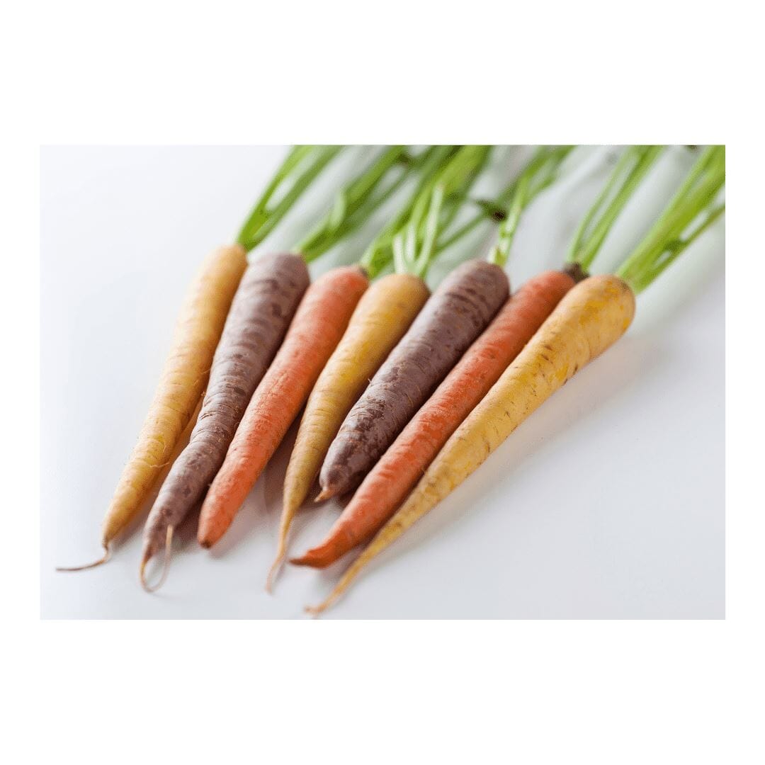 Mini Karotten Mix – Bunte Vielfalt für kreative Gerichte Gemüse Obstwelt