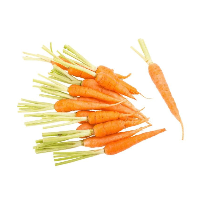 Mini Karotten Orange – Süße, knackige Karotten Gemüse Obstwelt