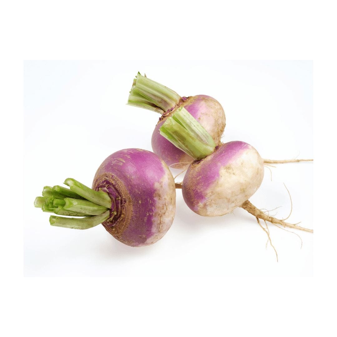 Mini Steckrüben – Zarte Rüben für kreative Rezepte Gemüse Obstwelt