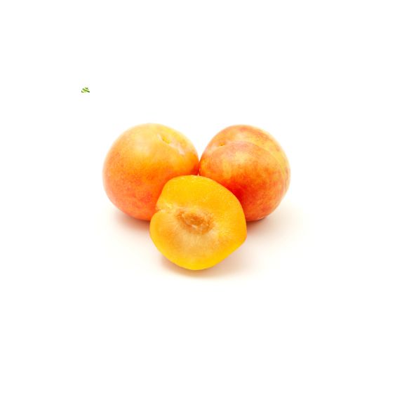 Mirabelle Plum Püree von PONTHIER – Feine Frucht für Dessert & Bar Fruchtpüree Obstwelt