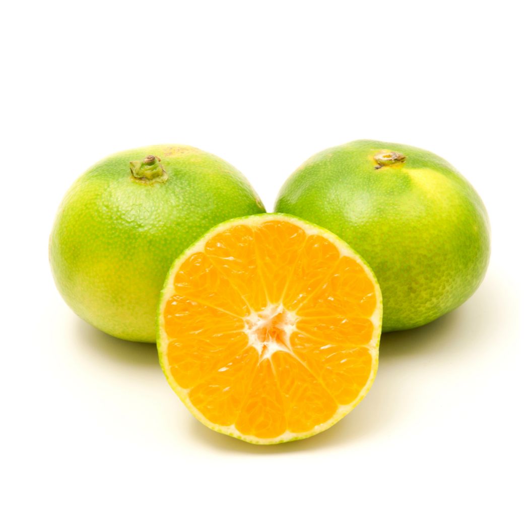 Miyagawa Mandarine – Japanische Zitrusfrucht, süß & kernlos Obst Obstwelt