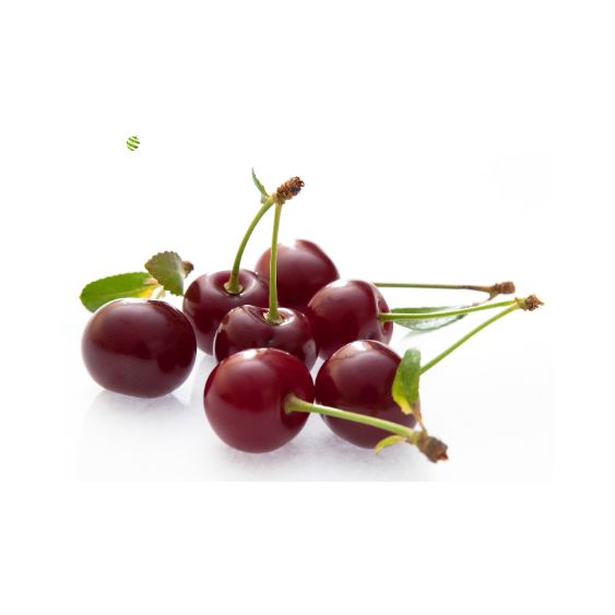 Morellen Kirschenpüree von PONTHIER – Fruchtig-säuerlich & edel Fruchtpüree Obstwelt