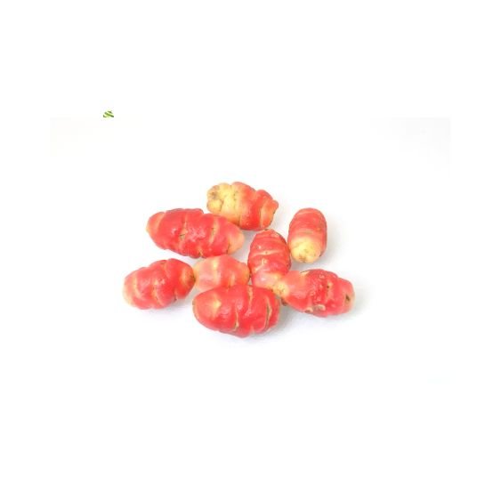 Oca de Peru Rot – Exotische Knolle mit süß-säuerlichem Aroma Gemüse Obstwelt