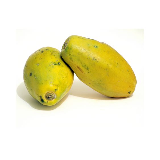 Papaya Samba – Süß-aromatische Tropenfrucht für Frühstück & Snack Exoten Obstwelt