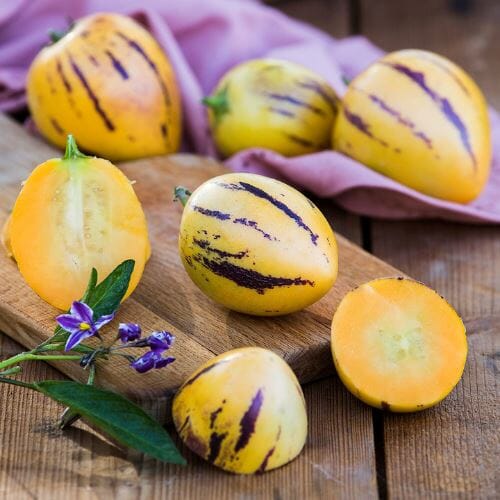 Pepino Melone – Milde Exotenfrucht Exoten Obstwelt