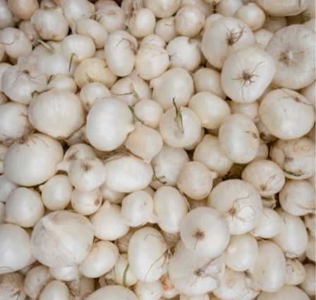 Frische Perlzwiebeln als dekorative Zwiebel-Spezialität online bestellen