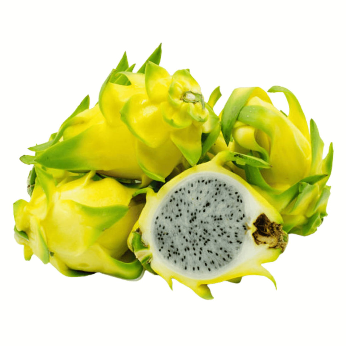 Pitahaya gelb - Goldene Drachenfrucht Exoten Obstwelt