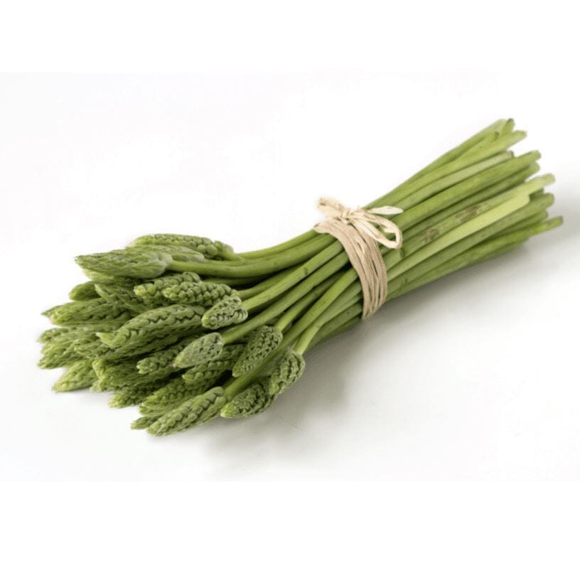Premium Wildspargel Exoten Obstwelt