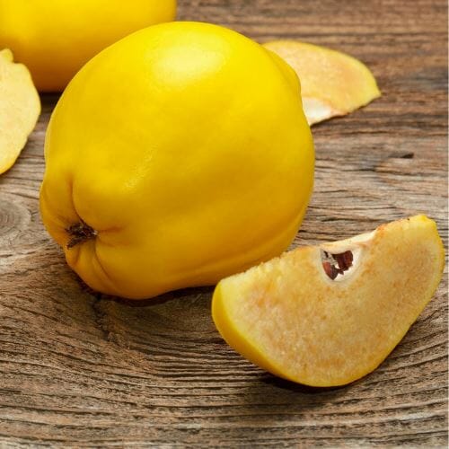 Quitten – Aromatische Frucht für süße und herzhafte Obst Obstwelt