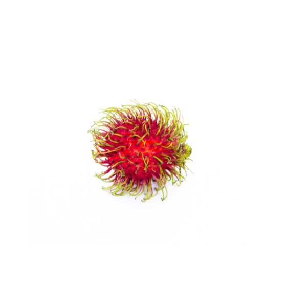 Rambutan – Exotische Frucht mit süßem, saftigem Fruchtfleisch Exoten Obstwelt