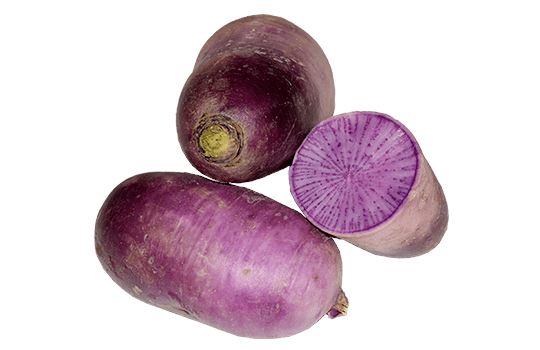 Rettich Blaues Fleisch – Exotisches Wurzelgemüse Gemüse Obstwelt
