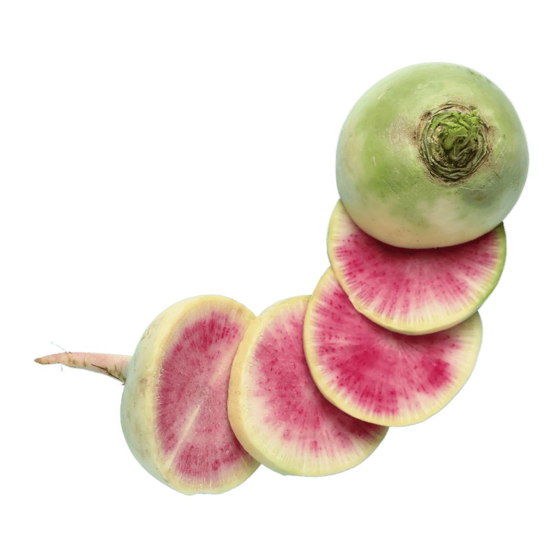 Rettich Red Meat – Wurzelgemüse mit rotem Inneren Gemüse Obstwelt