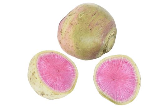 Rettich Red Meat – Wurzelgemüse mit rotem Inneren Gemüse Obstwelt