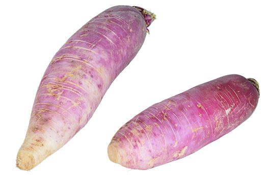 Rettich Rosa – mild-würzigem Geschmack Gemüse Obstwelt