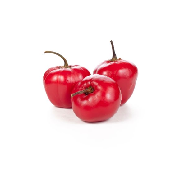 Rocoto Chili – Fruchtige Schärfe aus den Anden für echte Chili-Fans chili Obstwelt