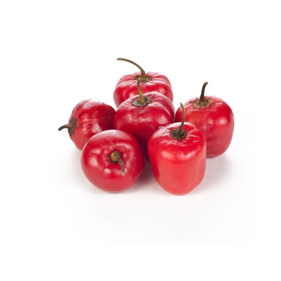 Rocoto Chili – Fruchtige Schärfe aus den Anden für echte Chili-Fans chili Obstwelt