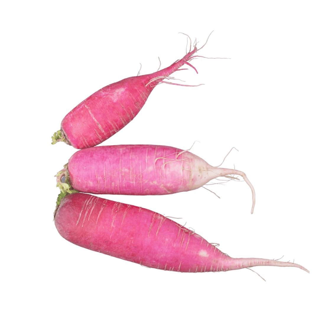 Rettich Rosa mit rosa bis rötlicher Schale und hellem Fruchtfleisch