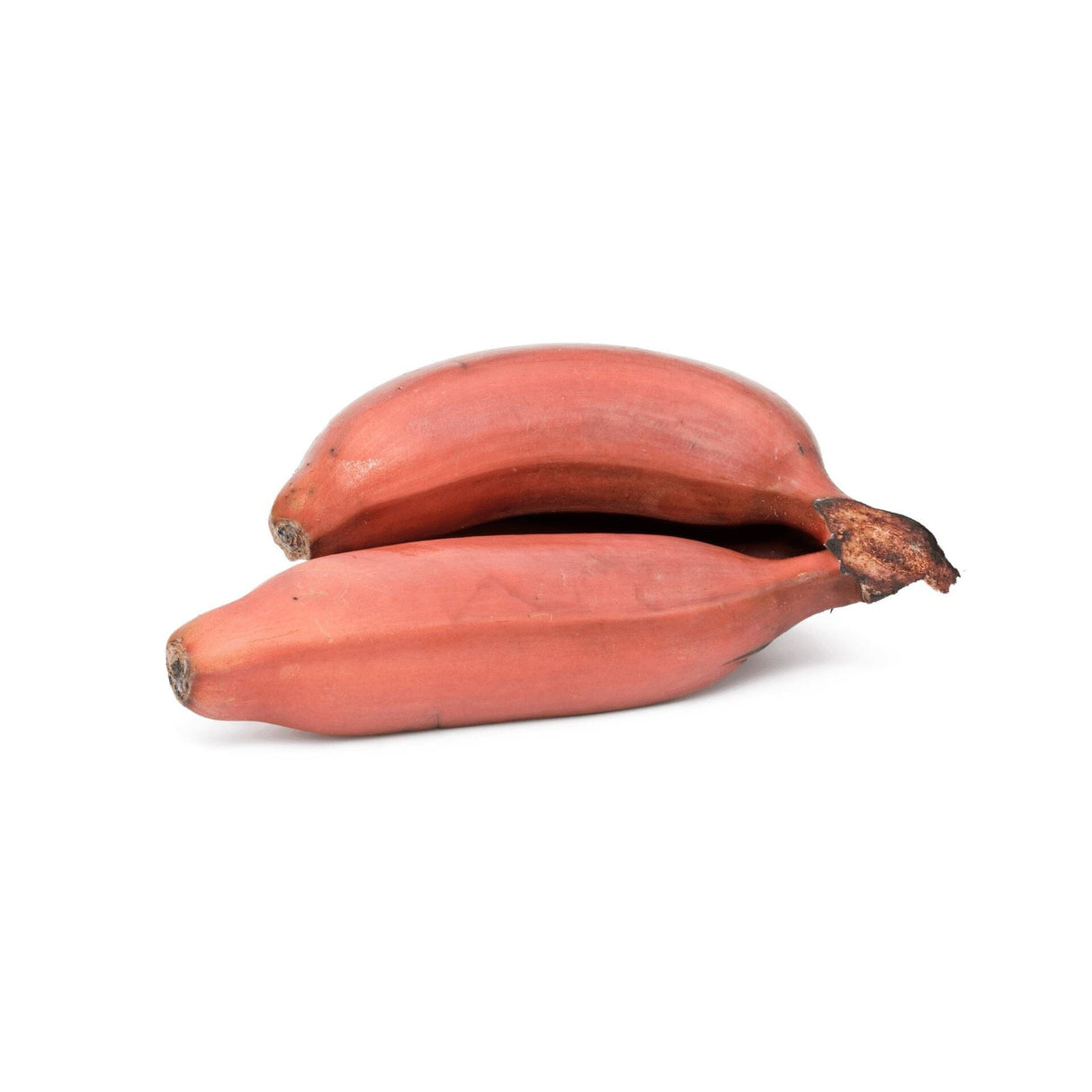 Rote Bananen – Süße, aromatische Exoten Exoten Obstwelt