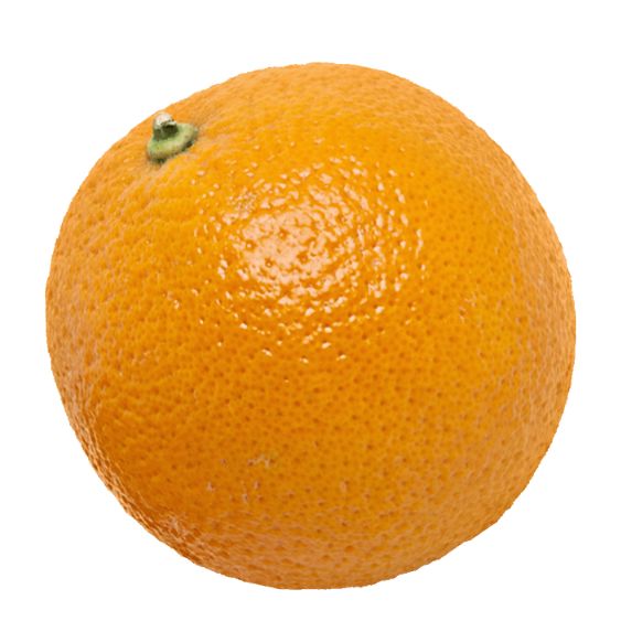 Saftorangen – Sonnengereifte Früchte für besten Frischgepressten Obst Obstwelt