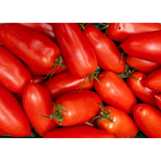 San Marzano-Tomaten – Italienische Klassiker Gemüse Obstwelt