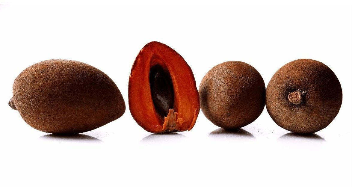Mamey Zapote – Cremige Exotenfrucht Exoten Obstwelt