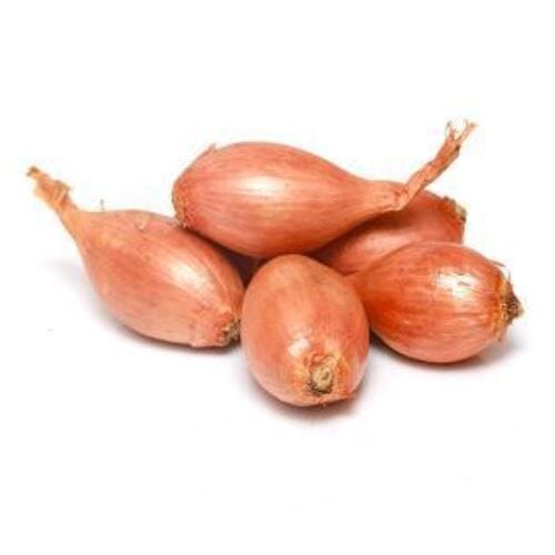 Echalotten – Fein-aromatische Zwiebel Gemüse Obstwelt