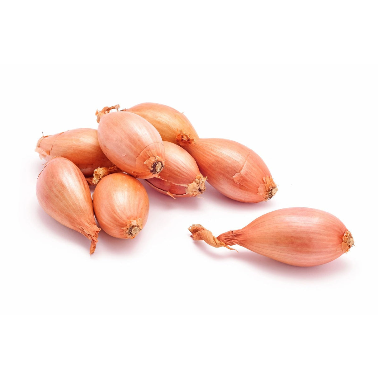 Schalotten – feinwürzige Gourmetzwiebeln für aromatische Küche Gemüse Obstwelt