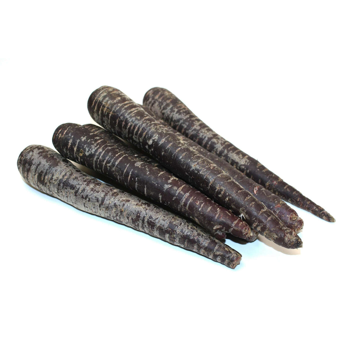 Schwarze Karotten – Knackiges Superfood Gemüse Obstwelt