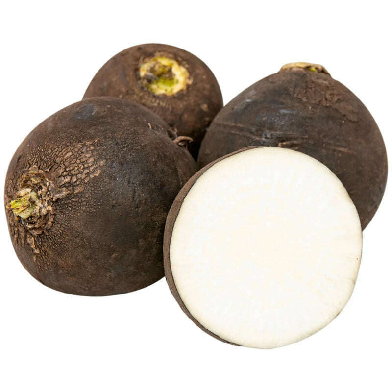 Schwarzer Rettich – Kräftig, Gesund und Vielseitig Gemüse Obstwelt