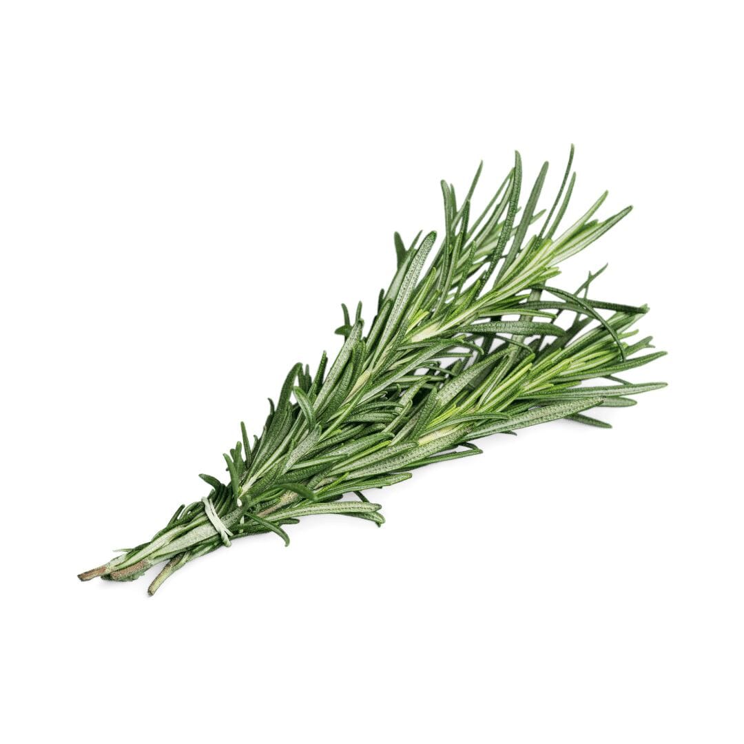 Sea Rosemary – Exotische Würze See Gemüse Obstwelt