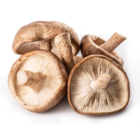 Shiitake Pilze – Aromatische Asia-Delikatesse mit Umami-Kick Pilze Obstwelt