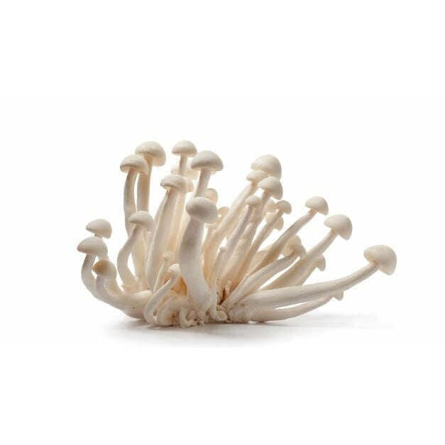 Shimeji Weiß Pilze – Zarte Pilze Pilze Obstwelt