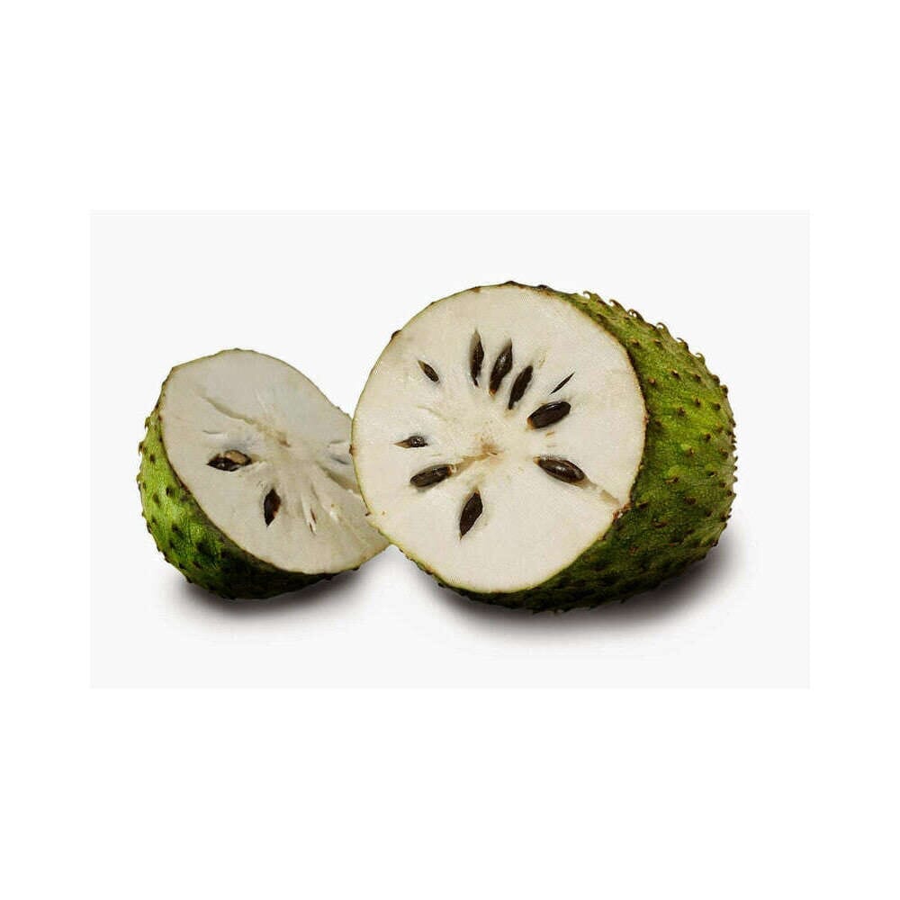 Stachelannone (Sauersack) – Exotische Frucht Exoten Obstwelt