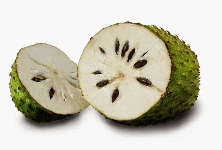 Stachelannone (Sauersack) – Exotische Frucht Exoten Obstwelt