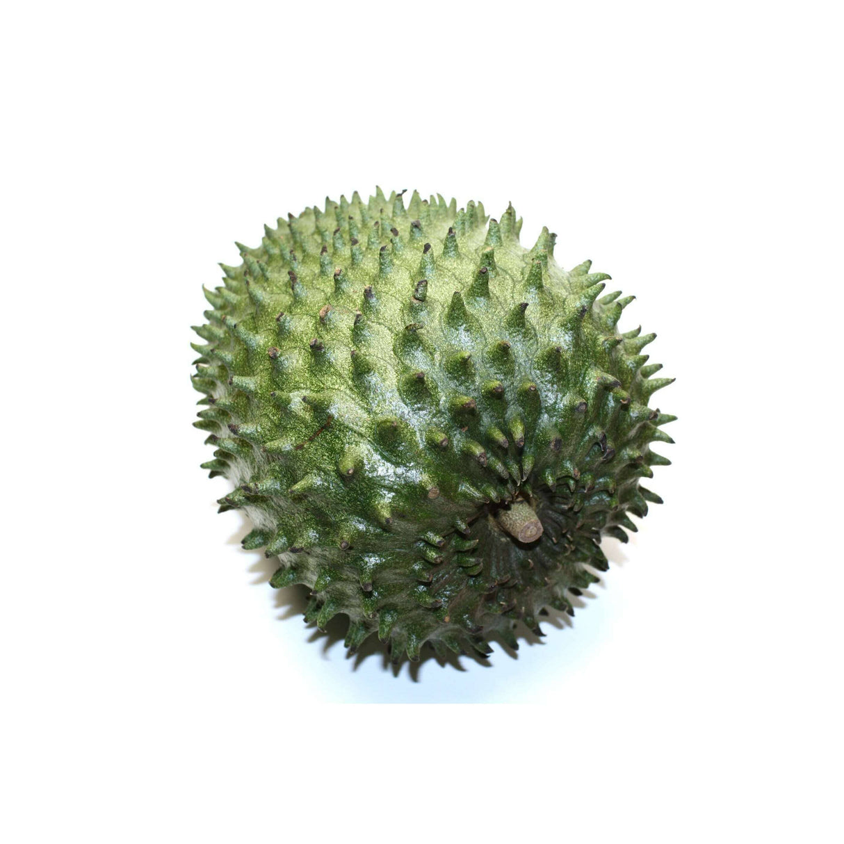 Stachelannone (Sauersack) – Exotische Frucht Exoten Obstwelt