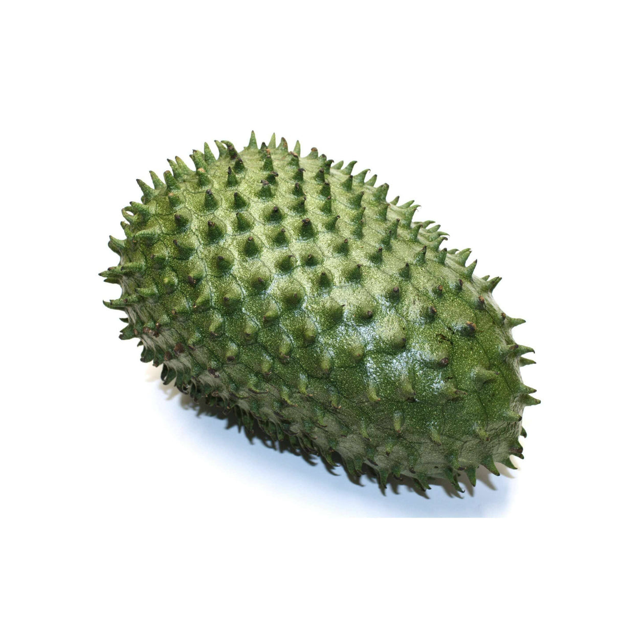 Stachelannone (Sauersack) – Exotische Frucht Exoten Obstwelt