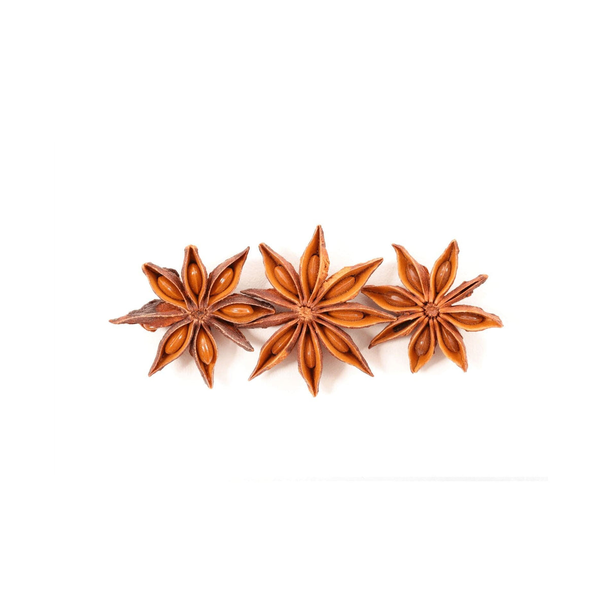 Sternanis – Exotisches Gewürz Exoten Obstwelt