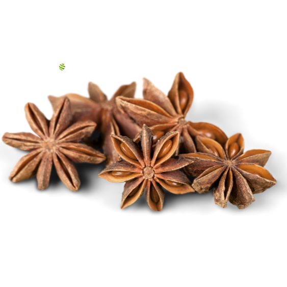 Sternanis – Intensives Gewürz für Tee, Gebäck & asiatische Küche Exoten Obstwelt
