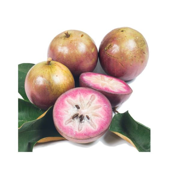 Sternapfel (Milchfrucht) – Zarte Tropenfrucht mit süßem Kernstern Exoten Obstwelt