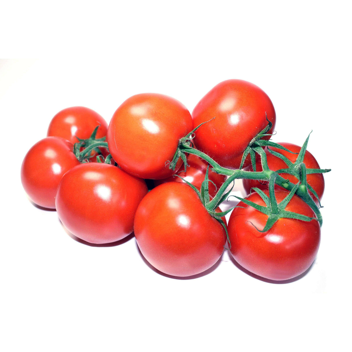 Strauchtomaten Gemüse Obstwelt