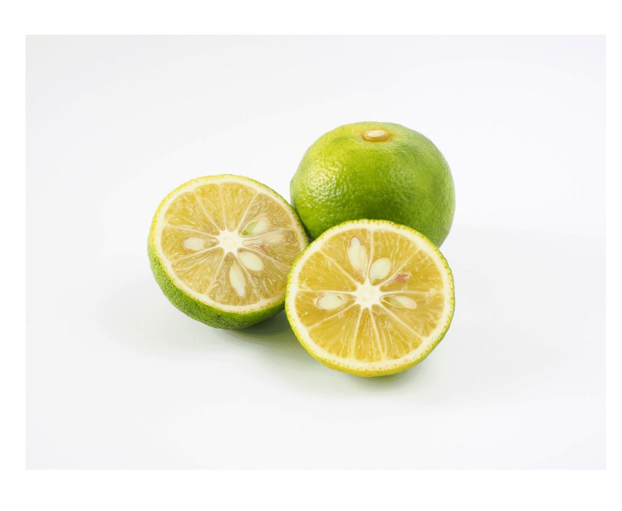 Sudachi Limette – Exotische Zitrusfrucht Exoten Obstwelt