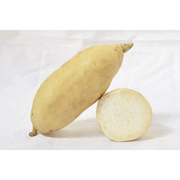 Süßkartoffeln weiss Gemüse Obstwelt